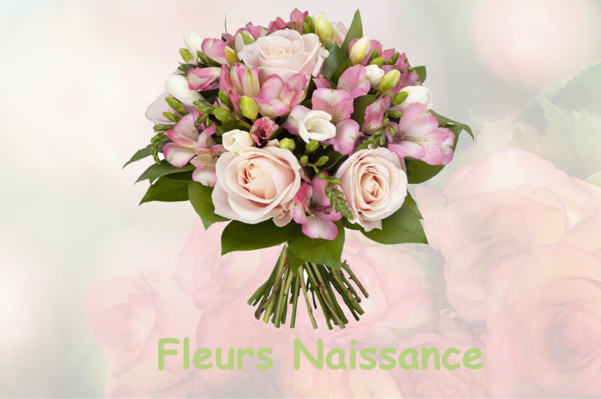 fleurs naissance VIEILLES-MAISONS-SUR-JOUDRY