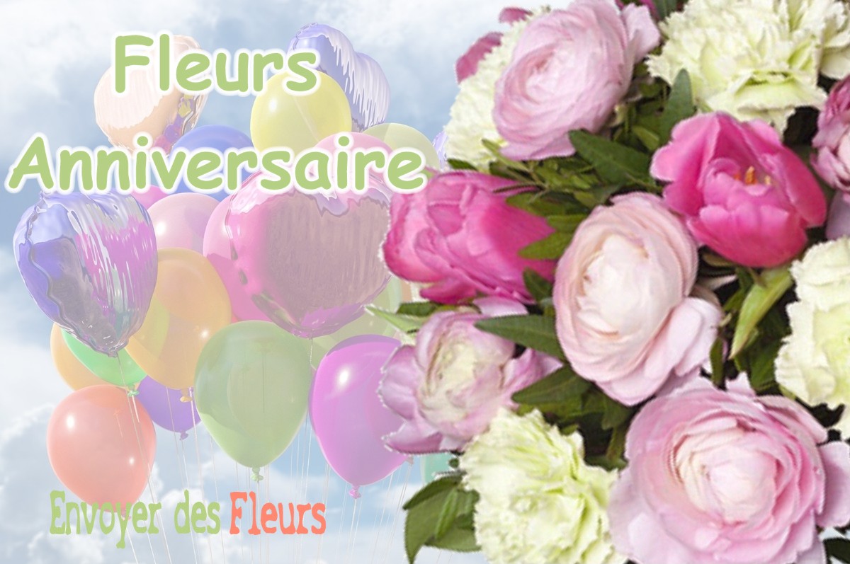 lIVRAISON FLEURS ANNIVERSAIRE à VIEILLES-MAISONS-SUR-JOUDRY