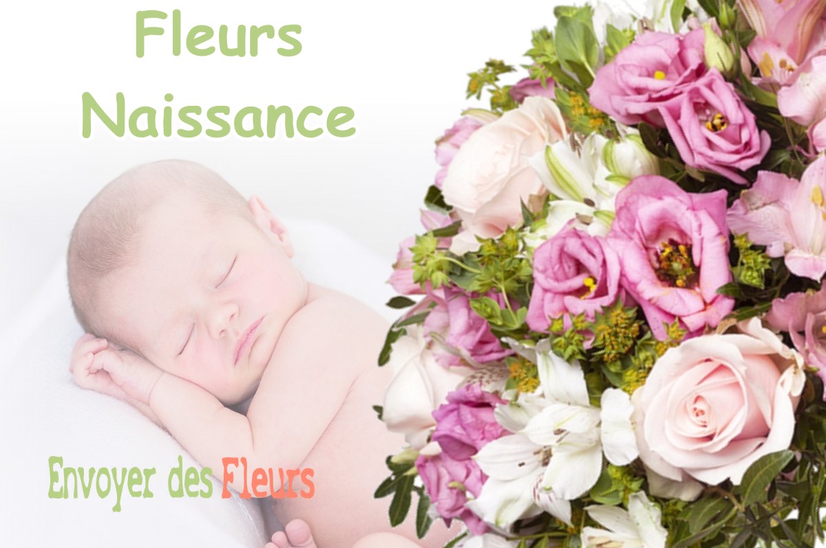 lIVRAISON FLEURS NAISSANCE à VIEILLES-MAISONS-SUR-JOUDRY